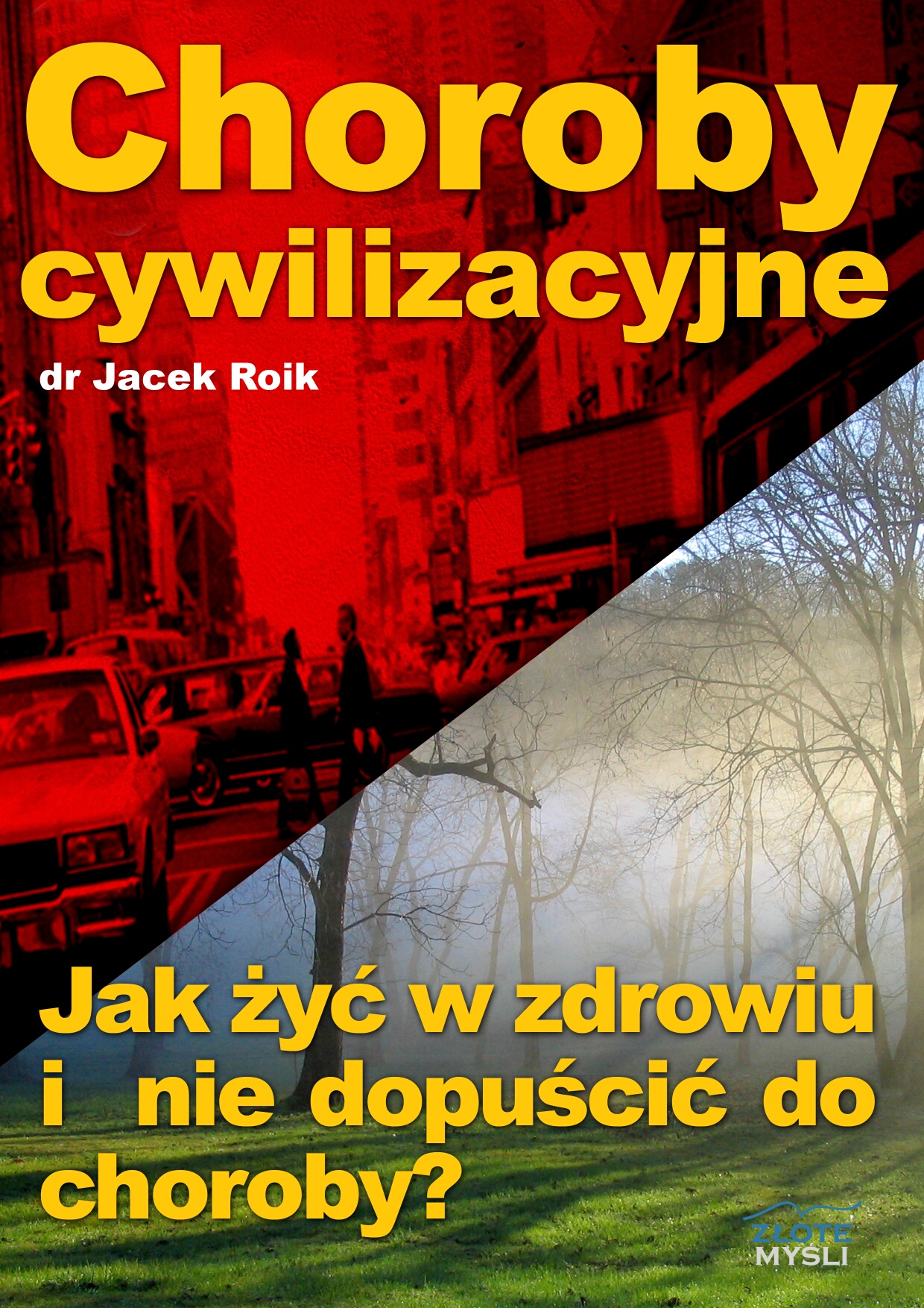 dr Jacek Roik: Choroby cywilizacyjne - okadka