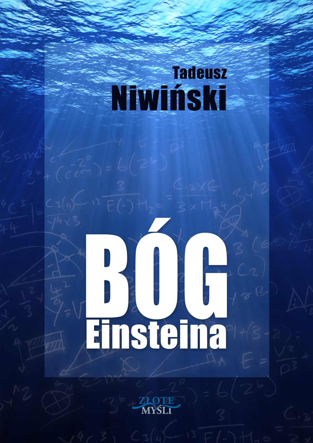 Tadeusz Niwiski: Bg Einsteina - okadka